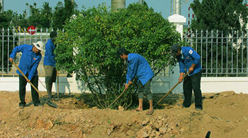 L'Union de la Jeunesse de Thien Tan Group participe activement à la plantation d'arbres