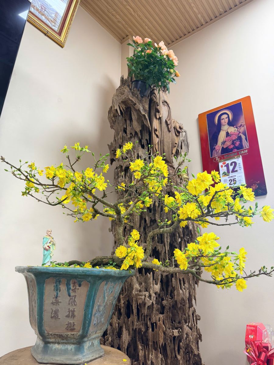Couleurs de printemps