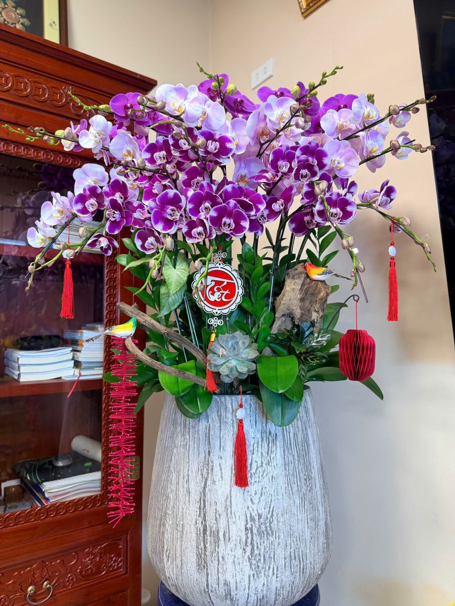 Pots d'orchidées élégants
